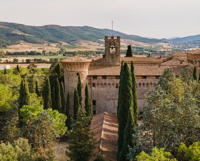 Progettare il vigneto in funzione dell’obiettivo enologico di Laura Turrini