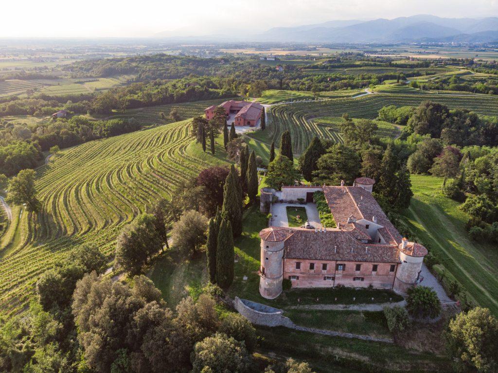 I vigneti