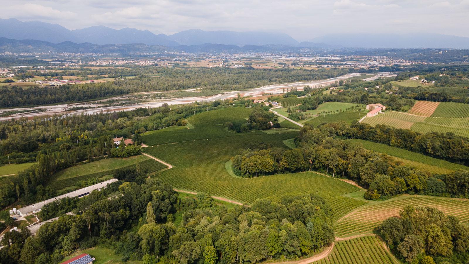 Dove nasce il Prosecco Superiore Asolo DOCG