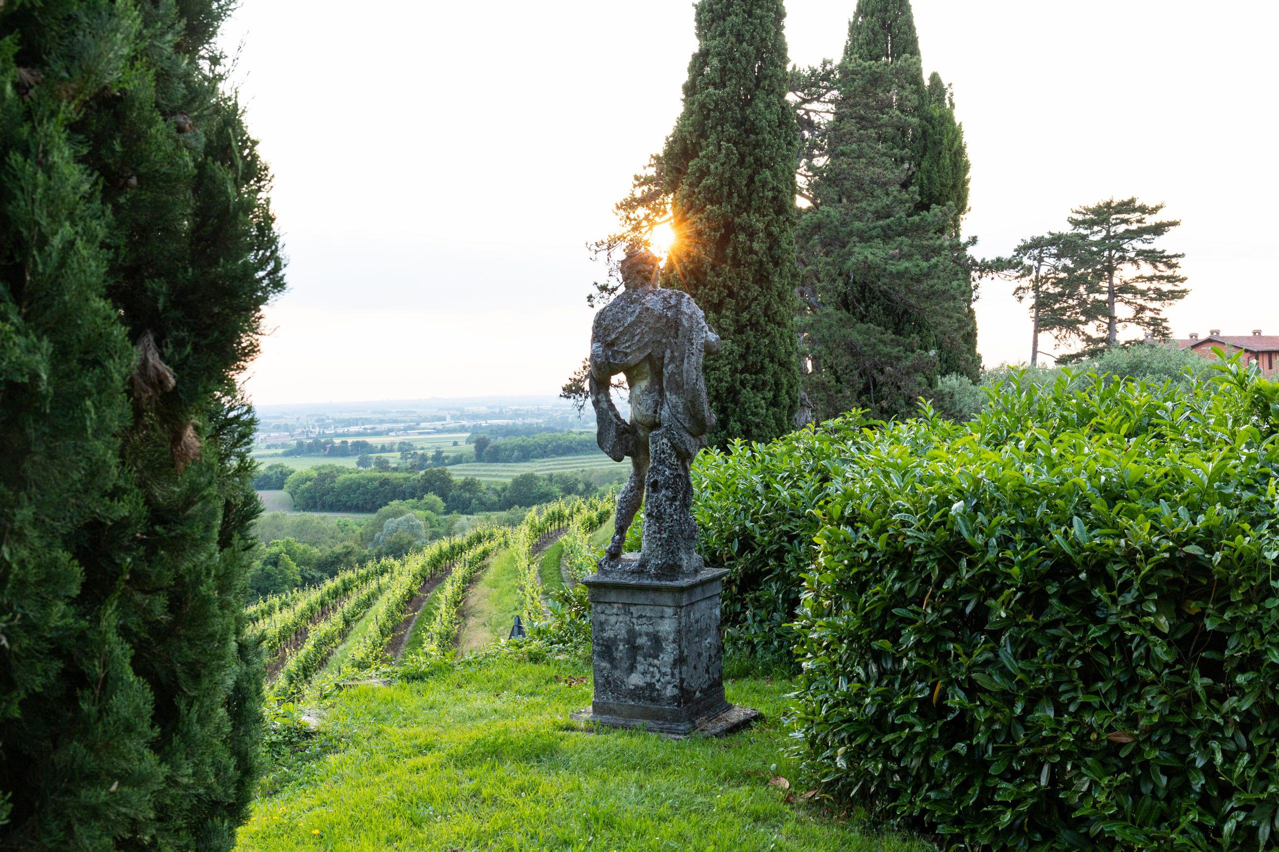 Rocca Bernarda: dove nasce il Picolit, tra i Colli Orientali del Friuli