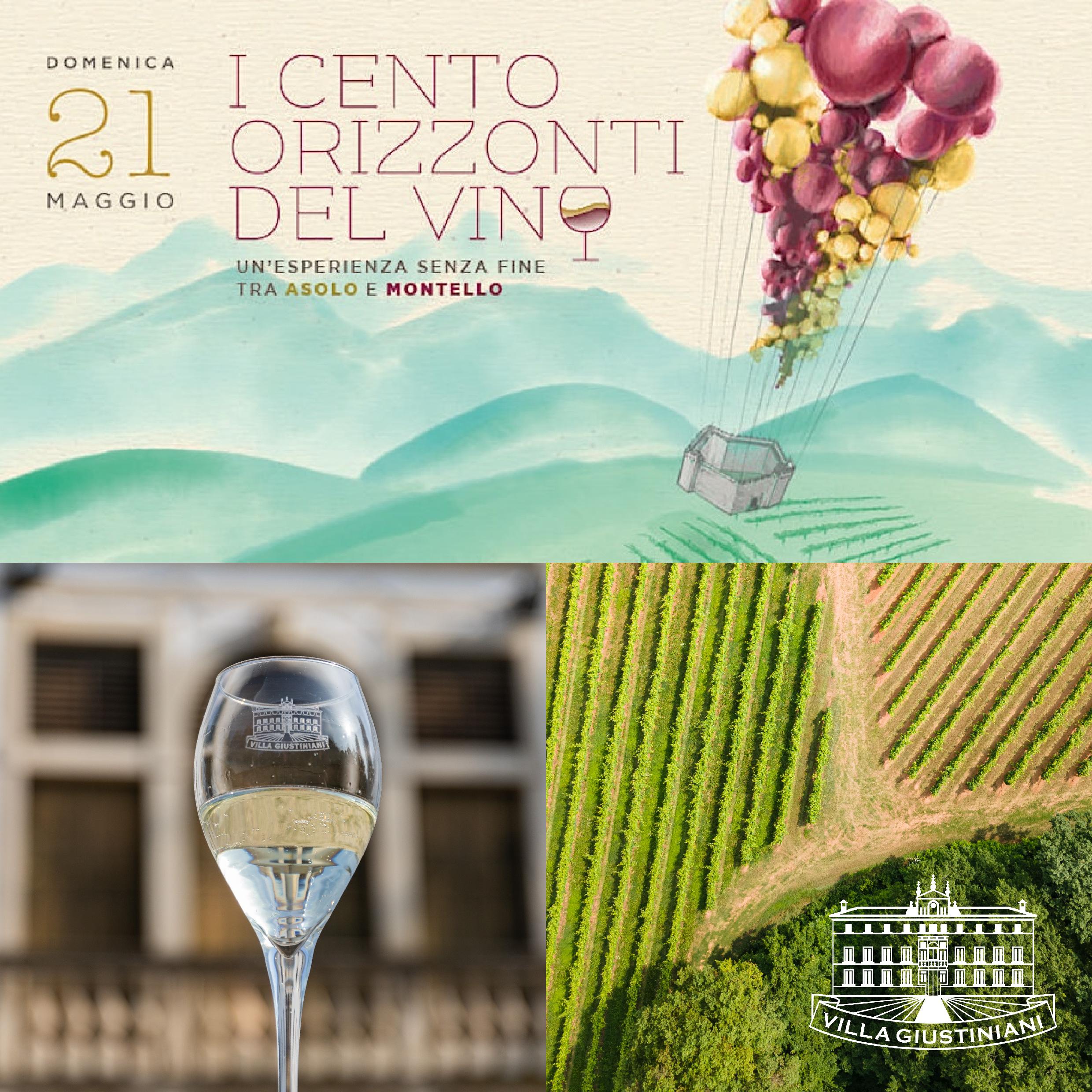 Vieni a scoprire i vini della Strada del Vino Asolo e Montello