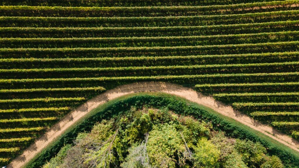 L'Asolo Prosecco Superiore