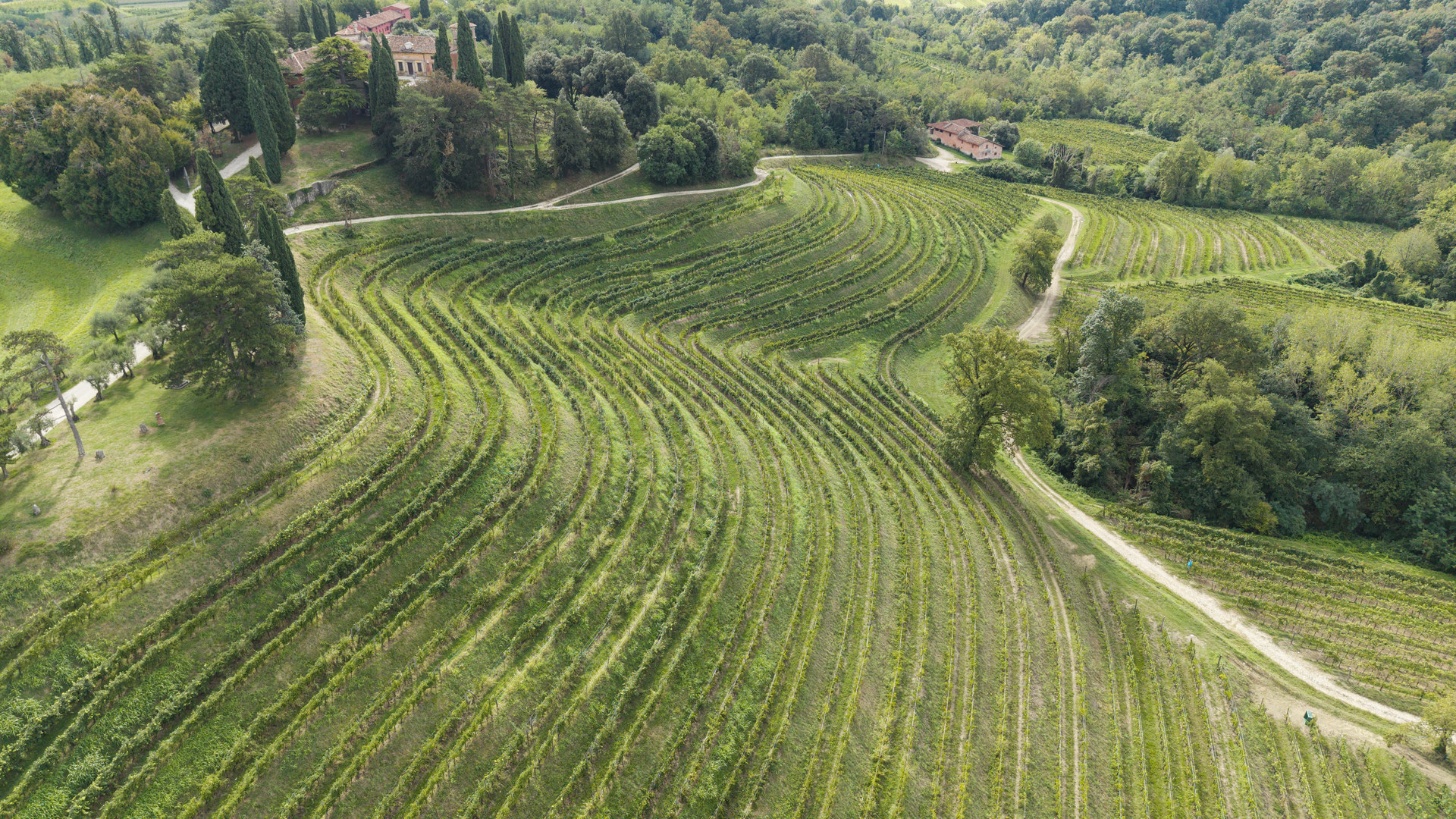La ponca dei Colli Orientali: il suolo che dà carattere ai vini di Rocca Bernarda